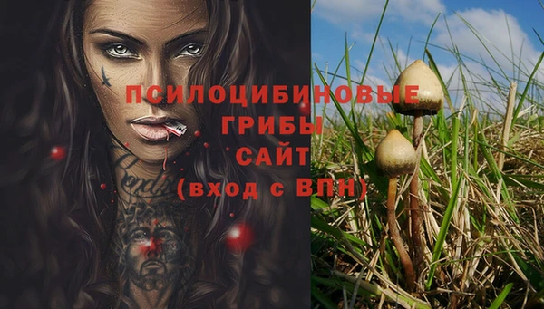 соль ск Верея