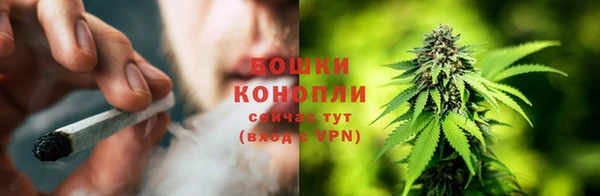 соль ск Верея