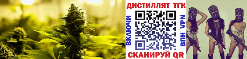 Дистиллят ТГК концентрат Весьегонск